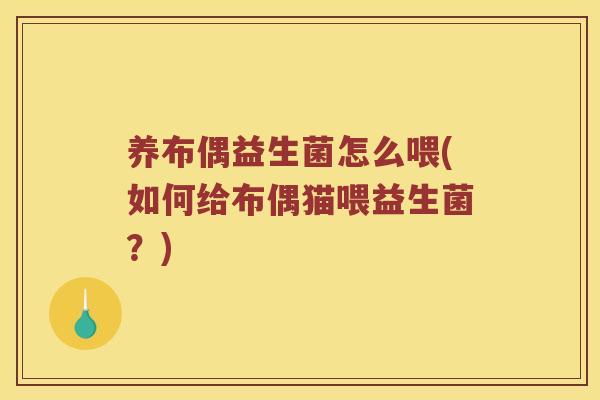 养布偶益生菌怎么喂(如何给布偶猫喂益生菌？)