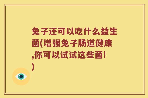 兔子还可以吃什么益生菌(增强兔子肠道健康,你可以试试这些菌!) 兔子还可以吃什么益生菌(增强兔子肠道健康,你可以试试这些菌!)