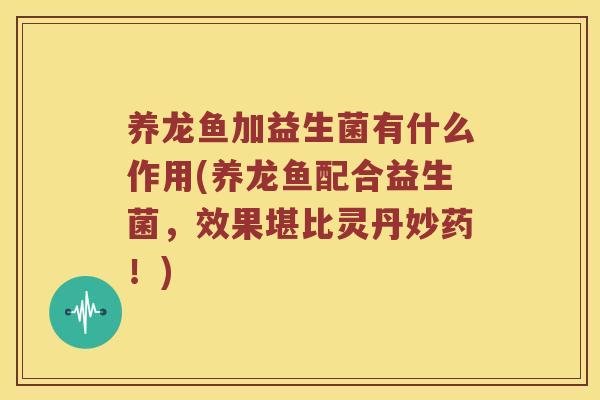 养龙鱼加益生菌有什么作用(养龙鱼配合益生菌,效果堪比灵丹妙药!) 养龙鱼加益生菌有什么作用(养龙鱼配合益生菌,效果堪比灵丹妙药!)
