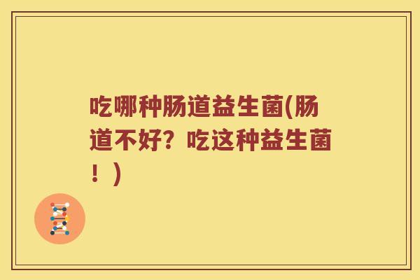 吃哪种肠道益生菌(肠道不好？吃这种益生菌！)