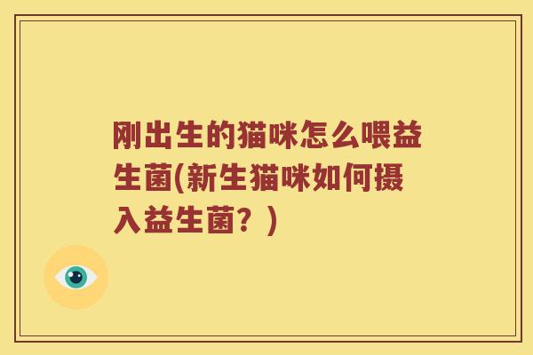 刚出生的猫咪怎么喂益生菌(新生猫咪如何摄入益生菌？)