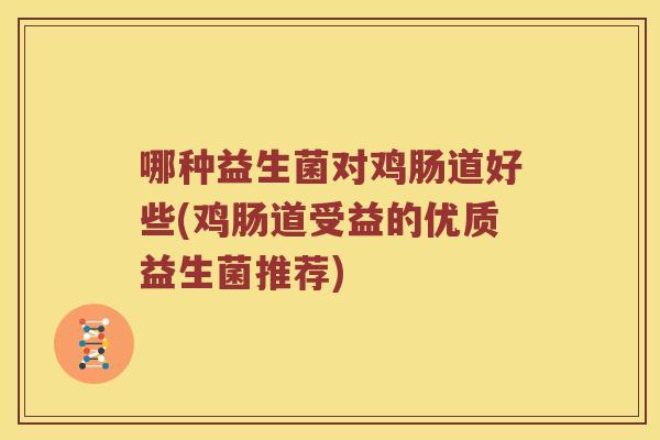哪种益生菌对鸡肠道好些(鸡肠道受益的优质益生菌推荐)