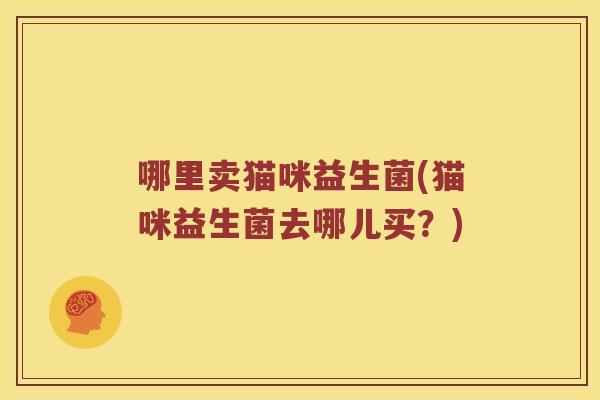 哪里卖猫咪益生菌(猫咪益生菌去哪儿买？)
