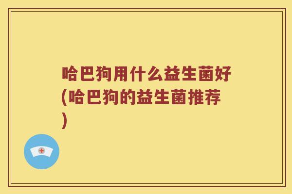 哈巴狗用什么益生菌好(哈巴狗的益生菌推荐)