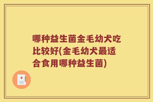 哪种益生菌金毛幼犬吃比较好(金毛幼犬适合食用哪种益生菌) 哪种益生菌金毛幼犬吃比较好(金毛幼犬适合食用哪种益生菌)