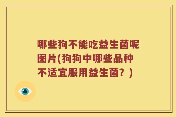 哪些狗不能吃益生菌呢图片(狗狗中哪些品种不适宜服用益生菌？)