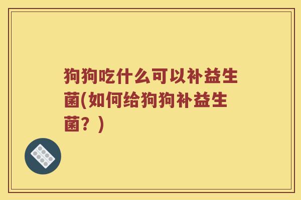 狗狗吃什么可以补益生菌(如何给狗狗补益生菌？)