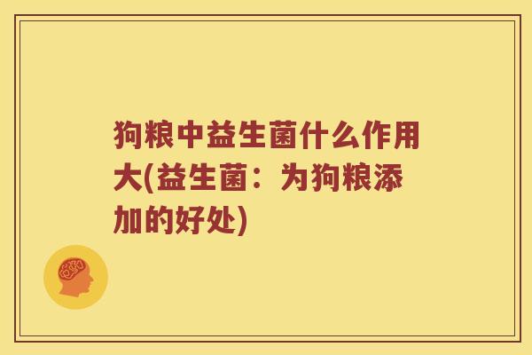 狗粮中益生菌什么作用大(益生菌：为狗粮添加的好处)