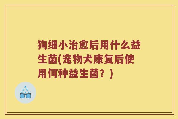 狗细小治愈后用什么益生菌(宠物犬康复后使用何种益生菌？)