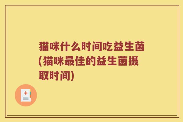 猫咪什么时间吃益生菌(猫咪最佳的益生菌摄取时间)