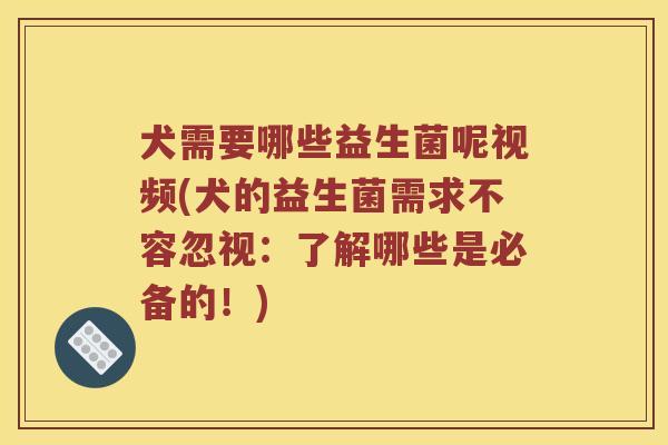 犬需要哪些益生菌呢视频(犬的益生菌需求不容忽视：了解哪些是必备的！)