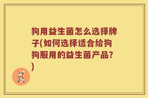 狗用益生菌怎么选择牌子(如何选择适合给狗狗服用的益生菌产品？)