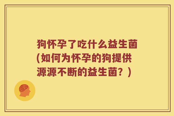 狗怀孕了吃什么益生菌(如何为怀孕的狗提供源源不断的益生菌?) 狗怀孕了吃什么益生菌(如何为怀孕的狗提供源源不断的益生菌?)