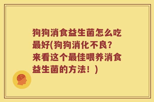 狗狗消食益生菌怎么吃最好(狗狗消化不良？来看这个最佳喂养消食益生菌的方法！)