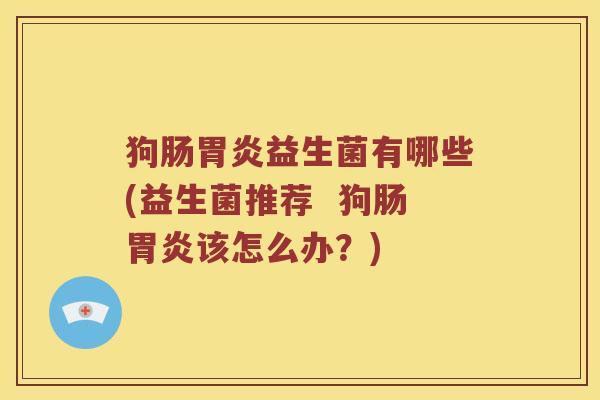 狗肠胃炎益生菌有哪些(益生菌推荐  狗肠胃炎该怎么办？)