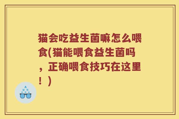 猫会吃益生菌嘛怎么喂食(猫能喂食益生菌吗，正确喂食技巧在这里！)