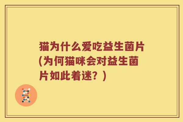 猫为什么爱吃益生菌片(为何猫咪会对益生菌片如此着迷?) 猫为什么爱吃益生菌片(为何猫咪会对益生菌片如此着迷?)
