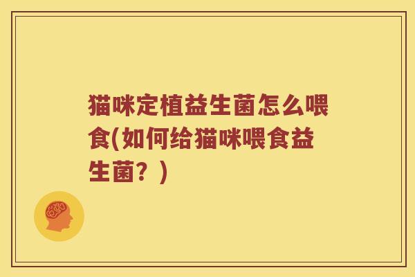 猫咪定植益生菌怎么喂食(如何给猫咪喂食益生菌？)