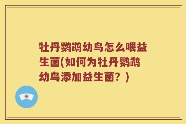 牡丹鹦鹉幼鸟怎么喂益生菌(如何为牡丹鹦鹉幼鸟添加益生菌？)