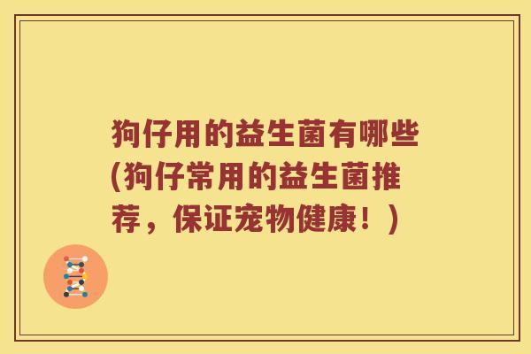 狗仔用的益生菌有哪些(狗仔常用的益生菌推荐，保证宠物健康！)