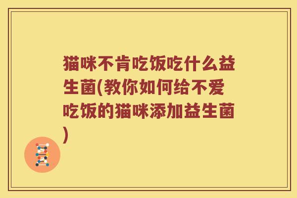 猫咪不肯吃饭吃什么益生菌(教你如何给不爱吃饭的猫咪添加益生菌)