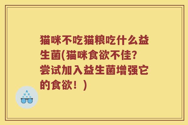 猫咪不吃猫粮吃什么益生菌(猫咪不佳？尝试加入益生菌增强它的！)