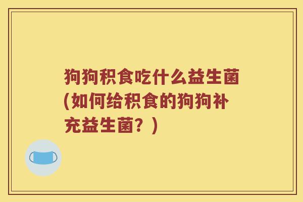 狗狗积食吃什么益生菌(如何给积食的狗狗补充益生菌?) 狗狗积食吃什么益生菌(如何给积食的狗狗补充益生菌?)