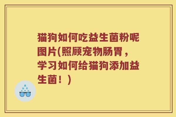 猫狗如何吃益生菌粉呢图片(照顾宠物肠胃，学习如何给猫狗添加益生菌！)
