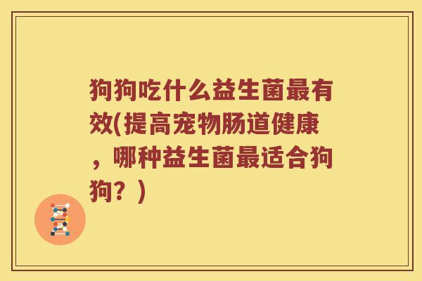 狗狗吃什么益生菌最有效(提高宠物肠道健康，哪种益生菌最适合狗狗？)
