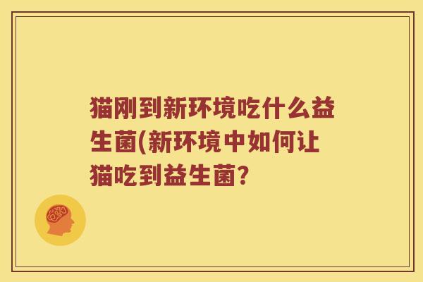 猫刚到新环境吃什么益生菌(新环境中如何让猫吃到益生菌? 猫刚到新环境吃什么益生菌(新环境中如何让猫吃到益生菌?