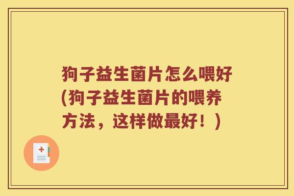 狗子益生菌片怎么喂好(狗子益生菌片的喂养方法，这样做最好！)