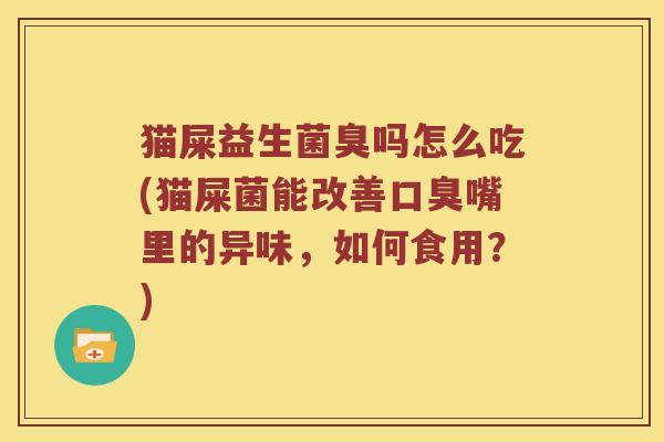 猫屎益生菌臭吗怎么吃(猫屎菌能改善口臭嘴里的异味，如何食用？)