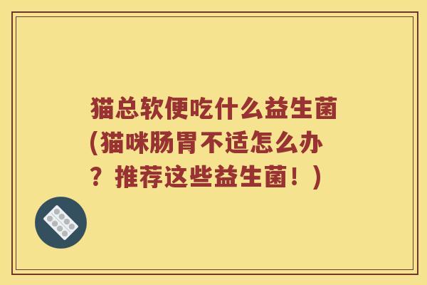 猫总软便吃什么益生菌(猫咪肠胃不适怎么办？推荐这些益生菌！)