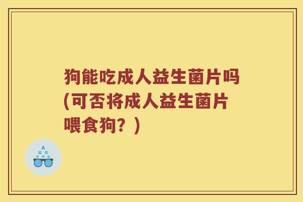 狗能吃成人益生菌片吗(可否将成人益生菌片喂食狗？)