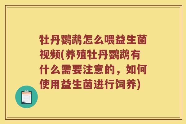 牡丹鹦鹉怎么喂益生菌视频(养殖牡丹鹦鹉有什么需要注意的，如何使用益生菌进行饲养)