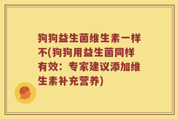 狗狗益生菌维生素一样不(狗狗用益生菌同样有效：专家建议添加维生素补充营养)