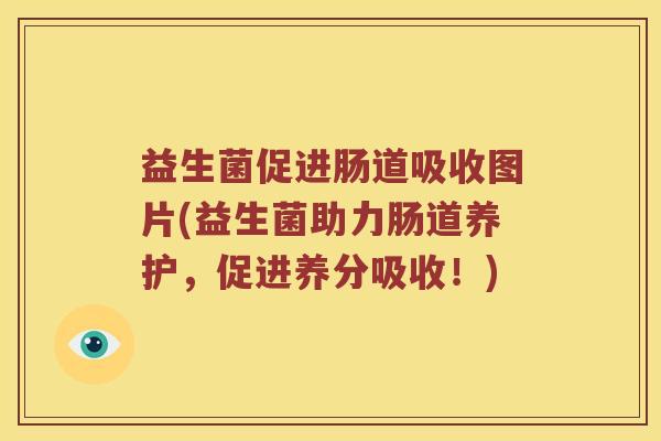 益生菌促进肠道吸收图片(益生菌助力肠道养护，促进养分吸收！)
