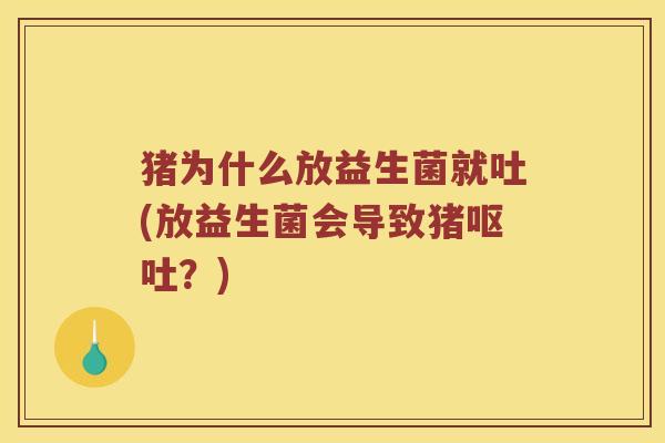 猪为什么放益生菌就吐(放益生菌会导致猪呕吐？)