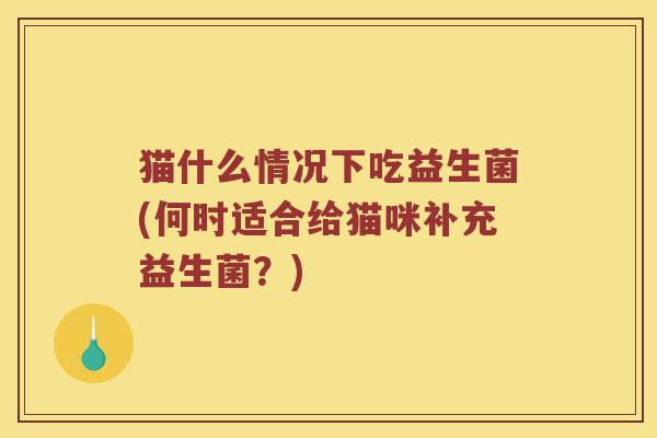 猫什么情况下吃益生菌(何时适合给猫咪补充益生菌?) 猫什么情况下吃益生菌(何时适合给猫咪补充益生菌?)