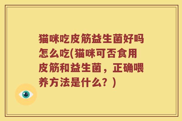 猫咪吃皮筋益生菌好吗怎么吃(猫咪可否食用皮筋和益生菌，正确喂养方法是什么？)