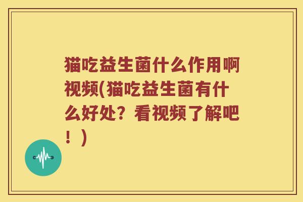 猫吃益生菌什么作用啊视频(猫吃益生菌有什么好处？看视频了解吧！)