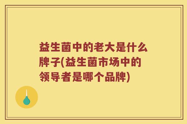 益生菌中的老大是什么牌子(益生菌市场中的领导者是哪个品牌)