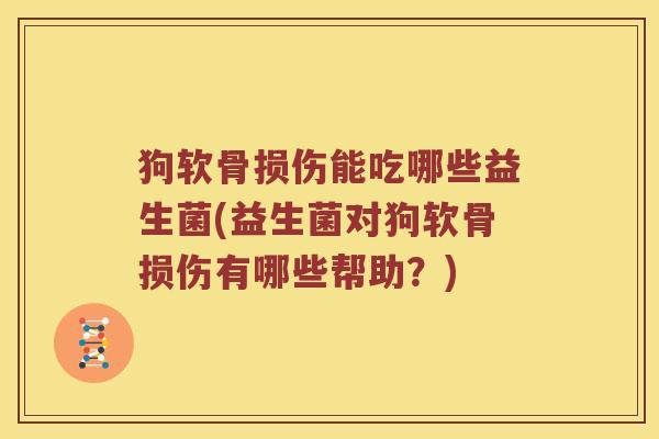 狗软骨损伤能吃哪些益生菌(益生菌对狗软骨损伤有哪些帮助？)