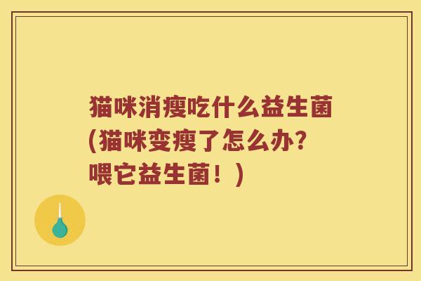 猫咪消瘦吃什么益生菌(猫咪变瘦了怎么办？喂它益生菌！)