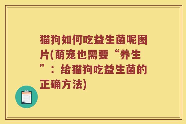 猫狗如何吃益生菌呢图片(萌宠也需要“养生”：给猫狗吃益生菌的正确方法)