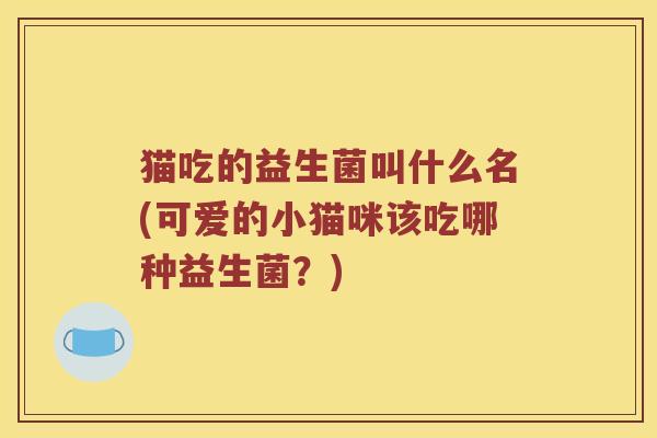 猫吃的益生菌叫什么名(可爱的小猫咪该吃哪种益生菌？)