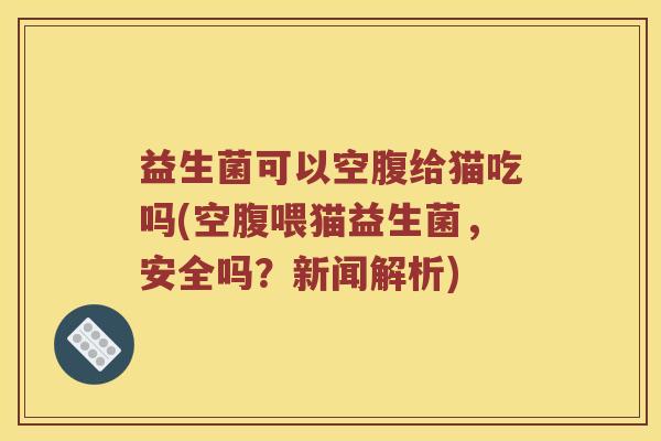 益生菌可以空腹给猫吃吗(空腹喂猫益生菌，安全吗？新闻解析)