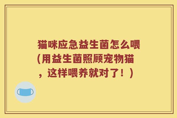 猫咪应急益生菌怎么喂(用益生菌照顾宠物猫，这样喂养就对了！)