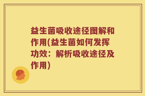 益生菌吸收途径图解和作用(益生菌如何发挥功效：解析吸收途径及作用)