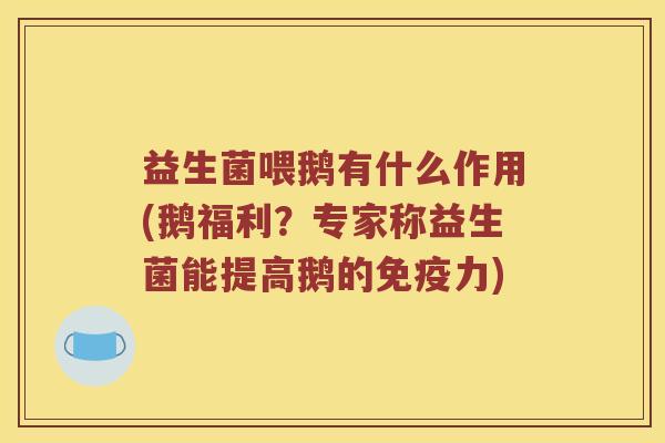 益生菌喂鹅有什么作用(鹅福利?专家称益生菌能提高鹅的力) 益生菌喂鹅有什么作用(鹅福利?专家称益生菌能提高鹅的力)